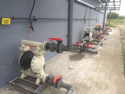 How do sanitary diaphragm pumps meet sanitary standards?