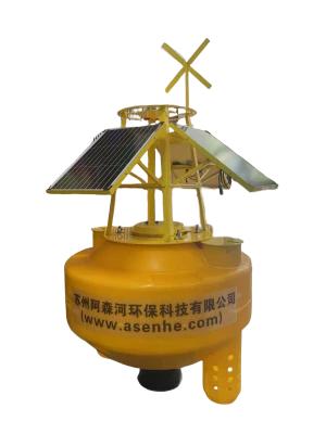 The Significant Value of Buoy Oceans in Modern Ocean Monitoring Systems