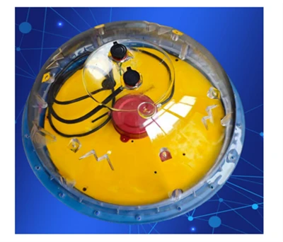 Applications of Oceanographic Wave Buoys in Ocean Observation and Selection S...
