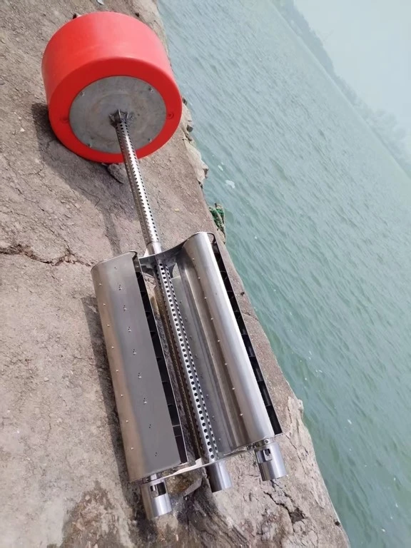 31 31