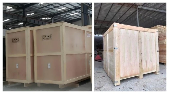product-657-367 product-657-367