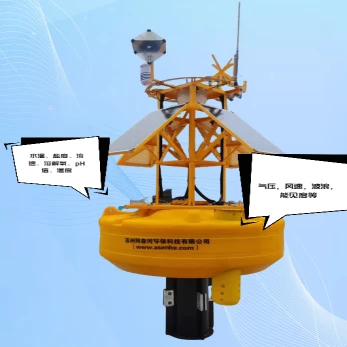 ocean data buoy system